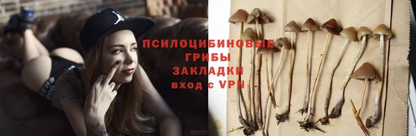 бошки Майский