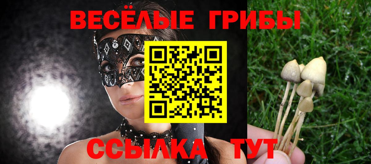 Псилоцибиновые грибы Magic Shrooms  Псилоцибиновые грибы прущие грибы  цены наркотик  Клин  Вход с VPN 