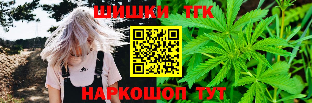 Бошки Шишки планчик Клин